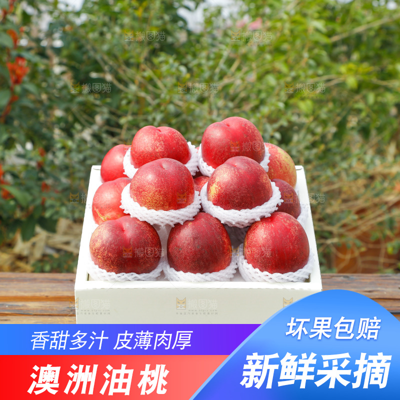 澳洲油桃
