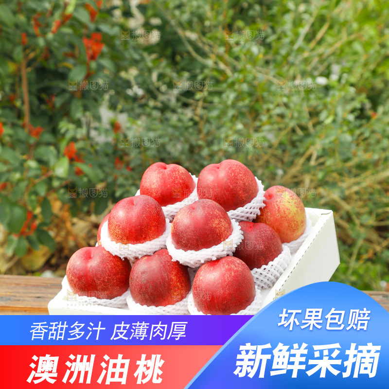 澳洲油桃
