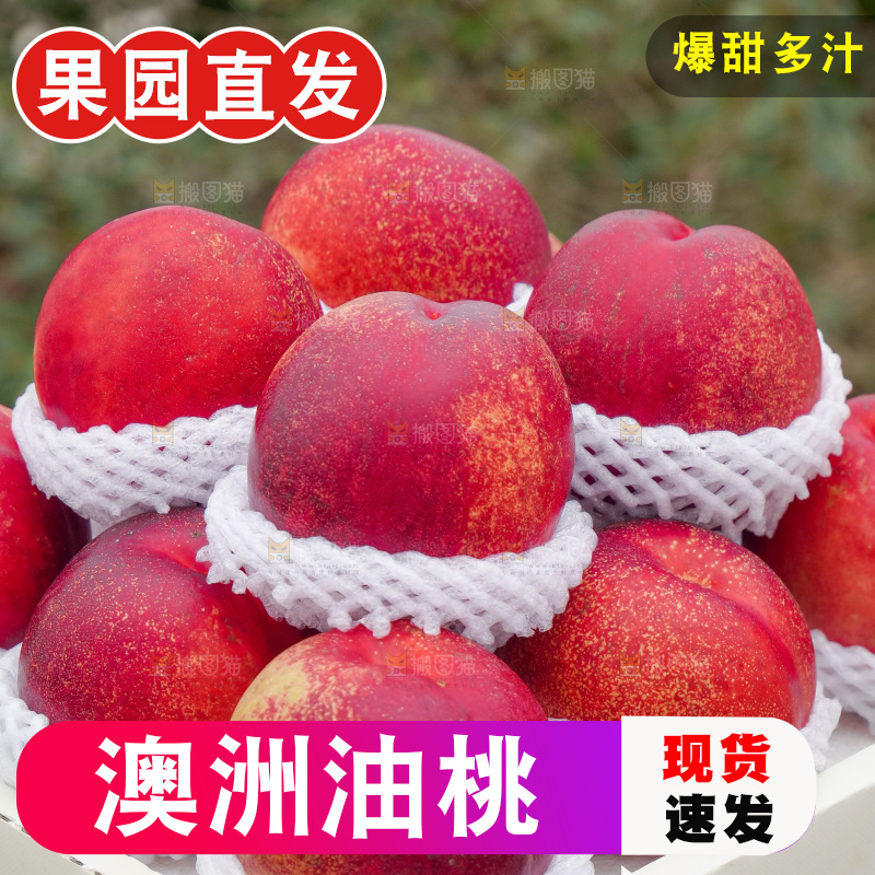 澳洲油桃