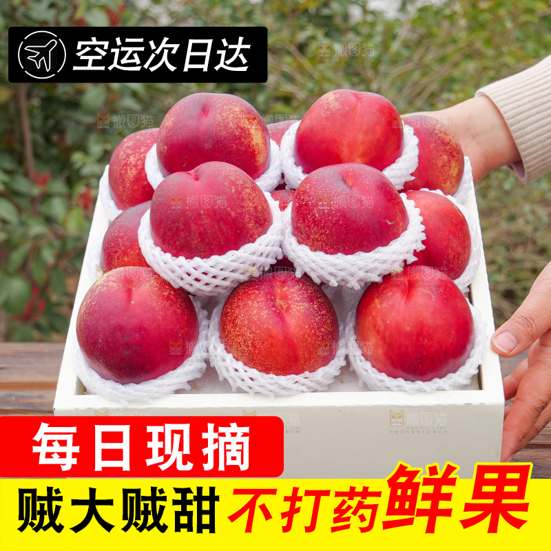 澳洲油桃