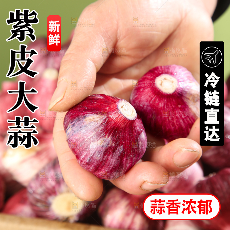 紫皮大蒜