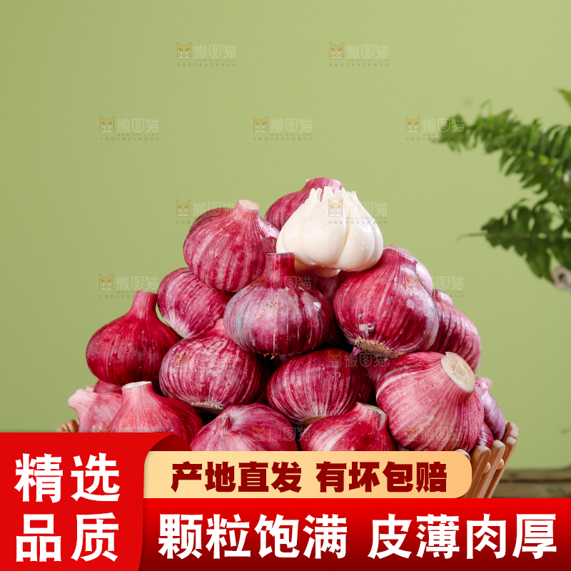 紫皮大蒜