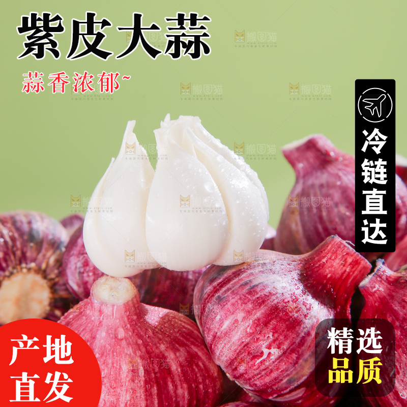 紫皮大蒜