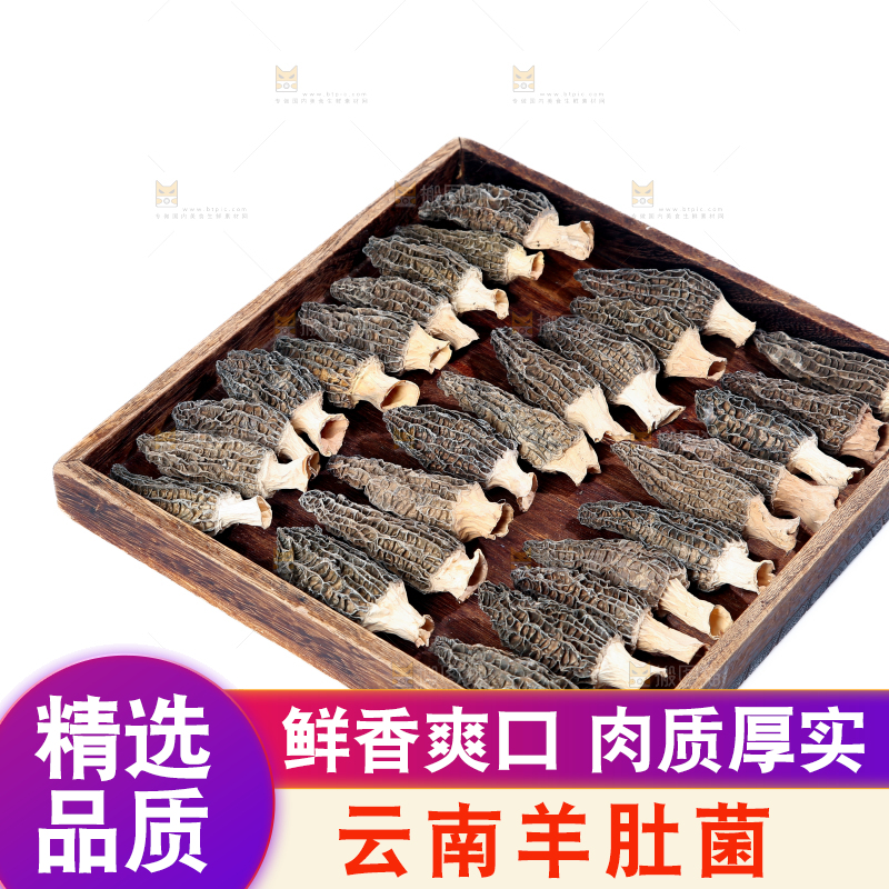 羊肚菌