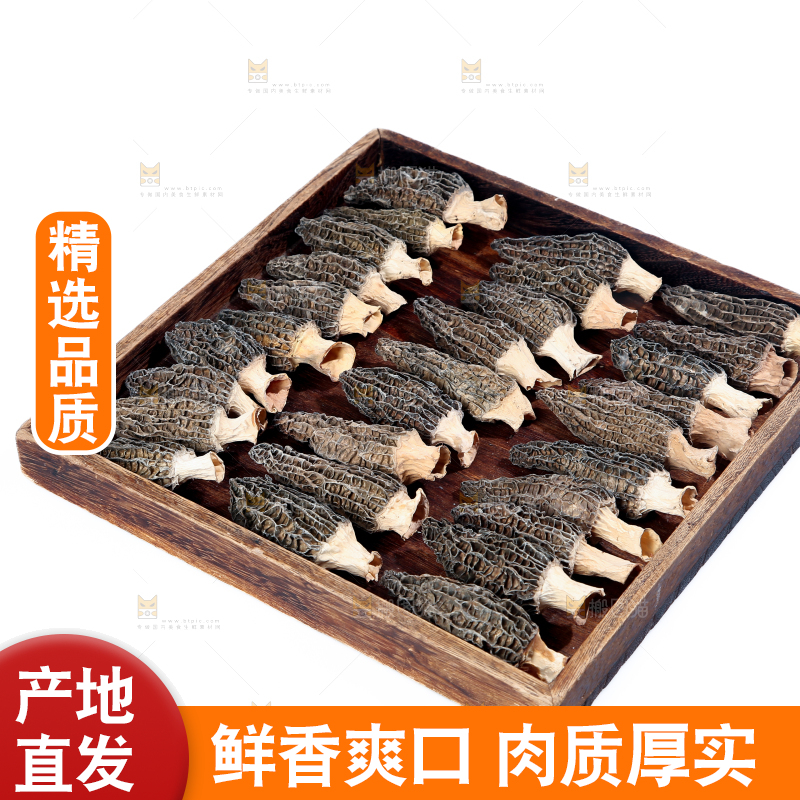 羊肚菌