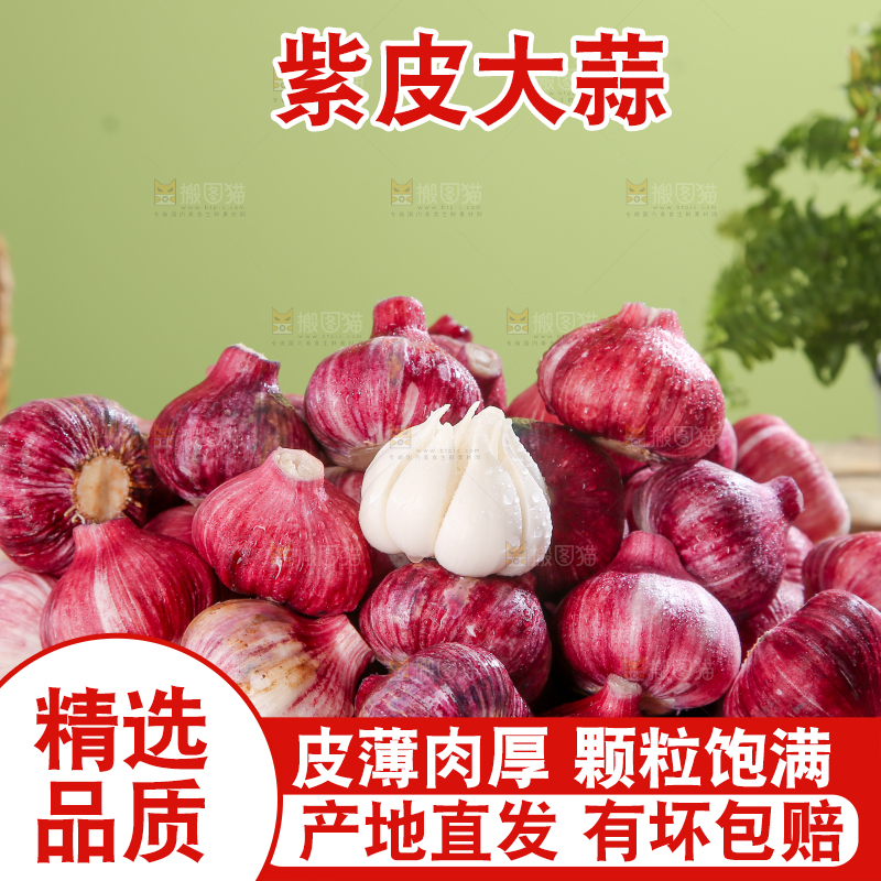 紫皮大蒜