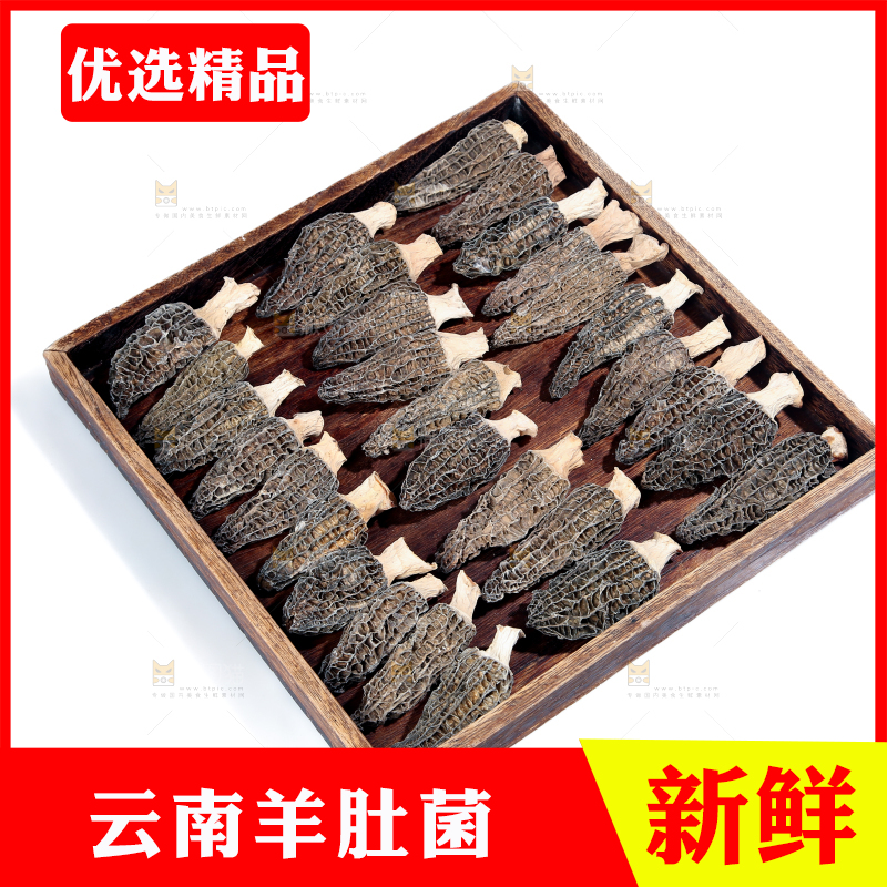 羊肚菌