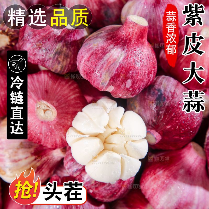 紫皮大蒜