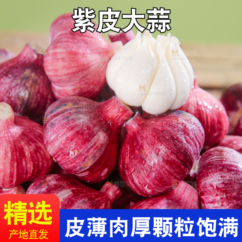 紫皮大蒜