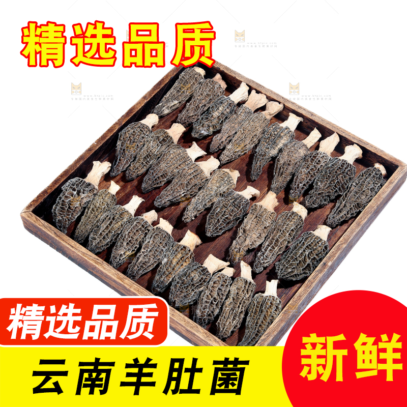 羊肚菌