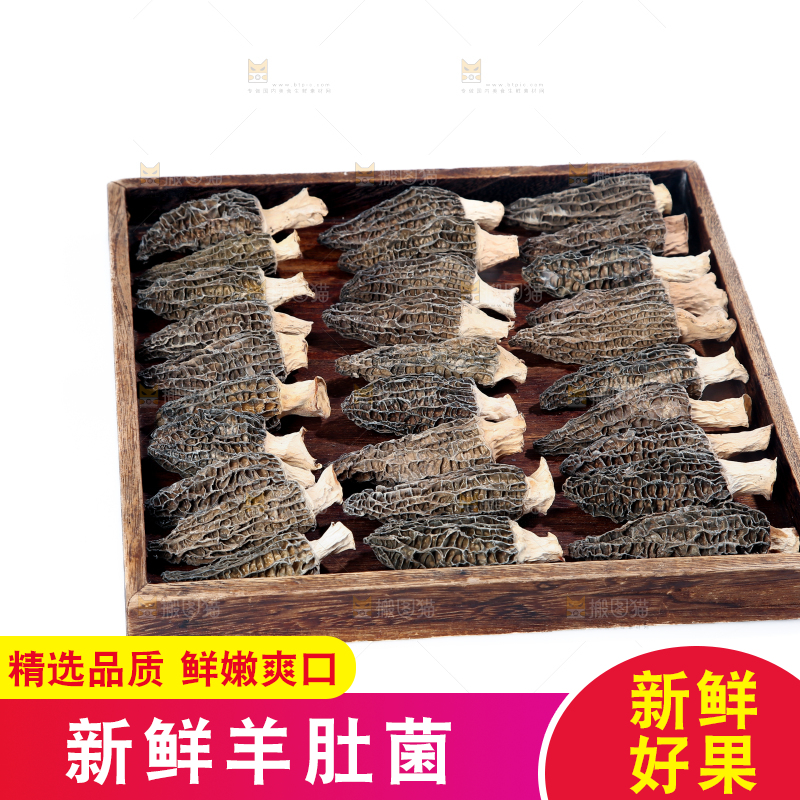 羊肚菌