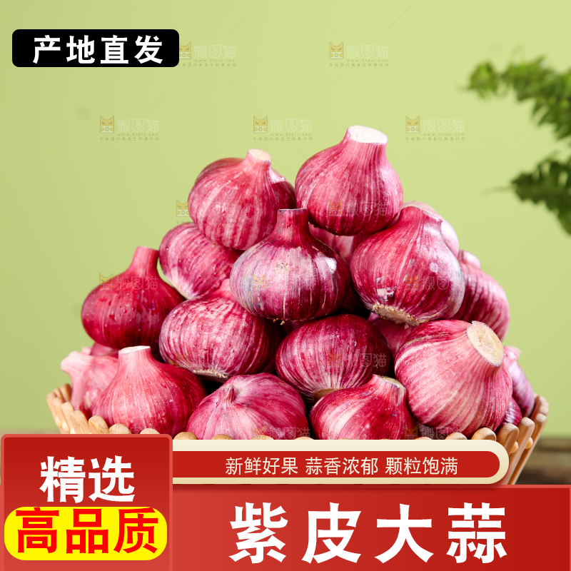 紫皮大蒜