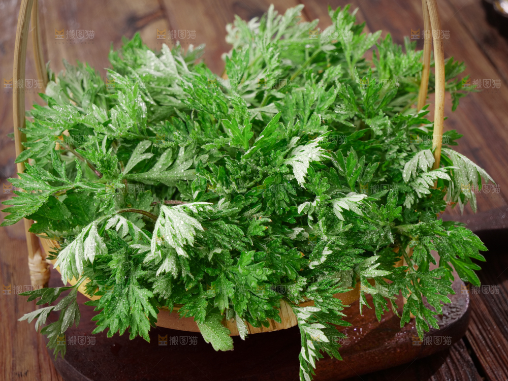 艾草