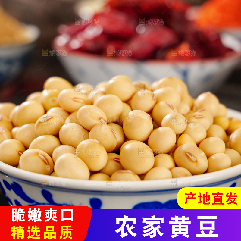 黄豆