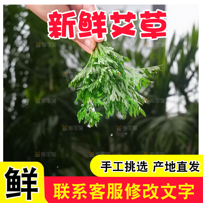 艾草