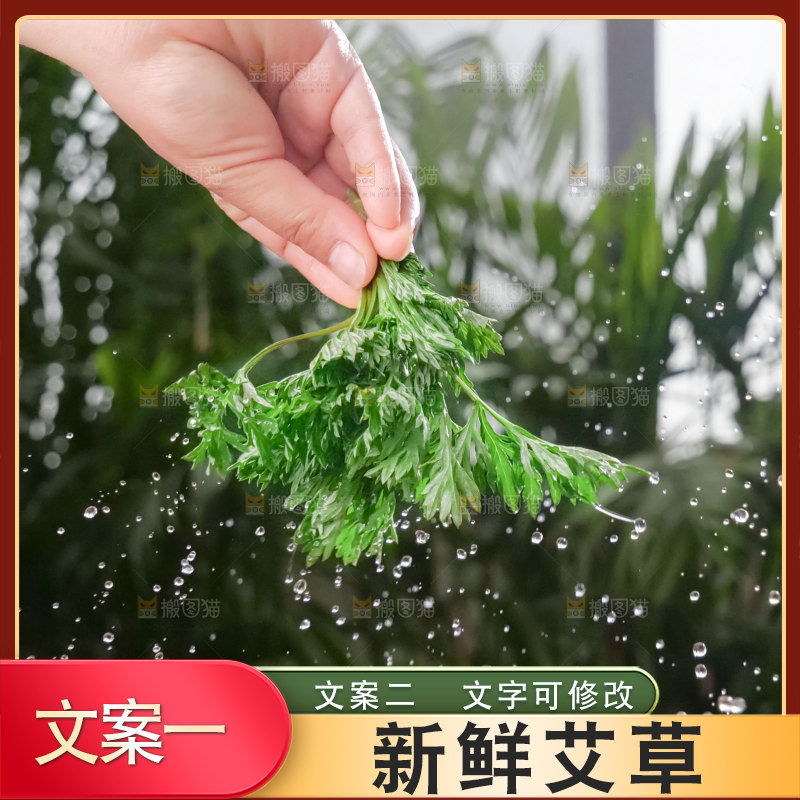 艾草