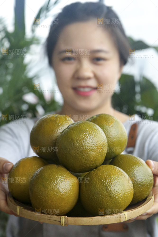 巧克力橙