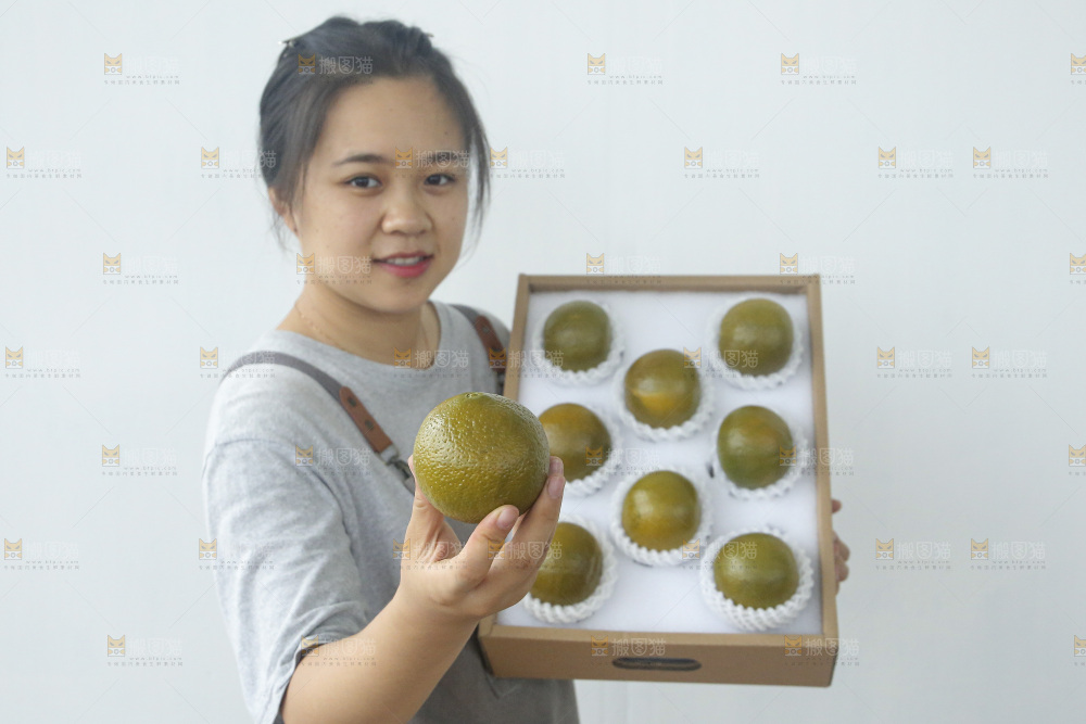 巧克力橙