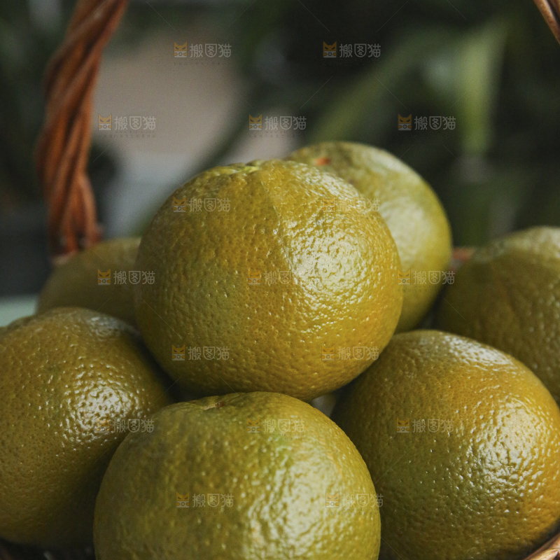 巧克力橙