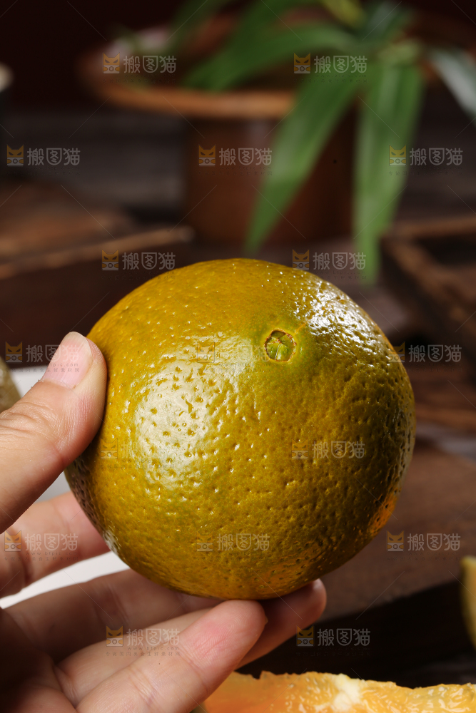 巧克力橙
