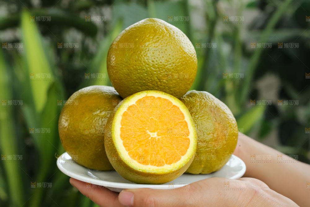 巧克力橙
