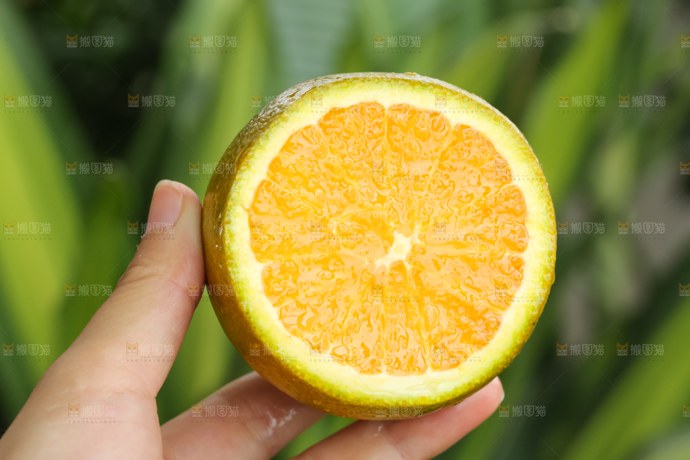 巧克力橙
