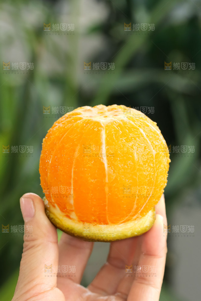 巧克力橙