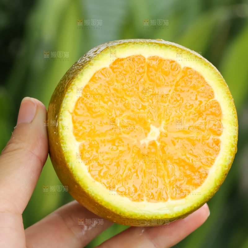 巧克力橙