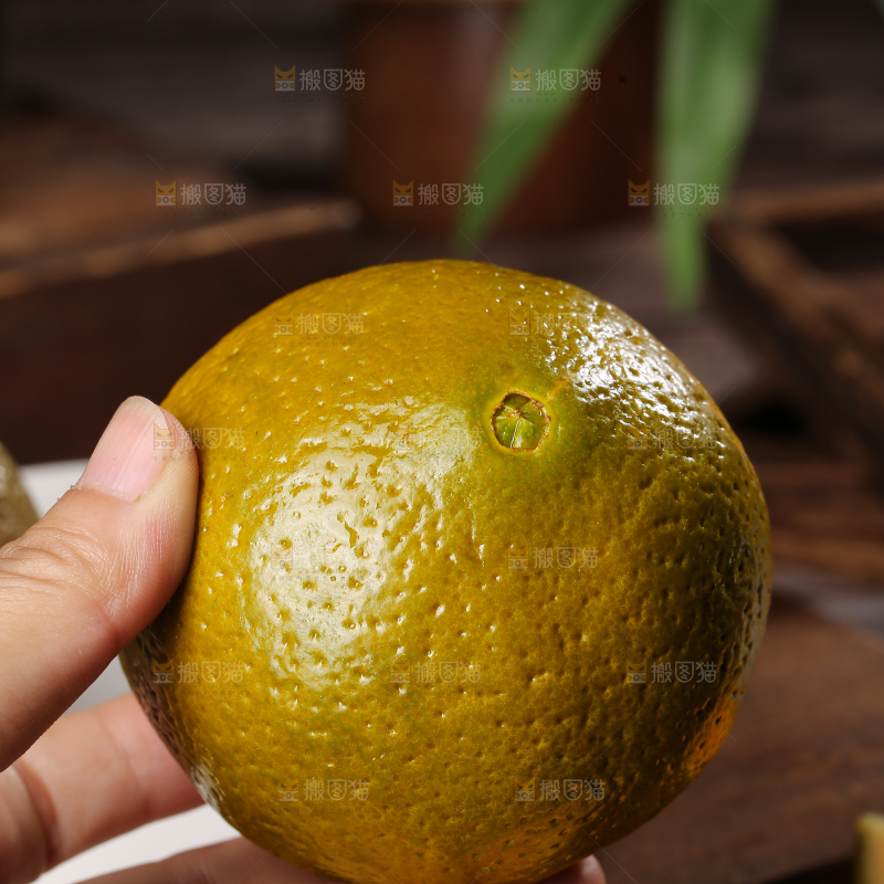 巧克力橙