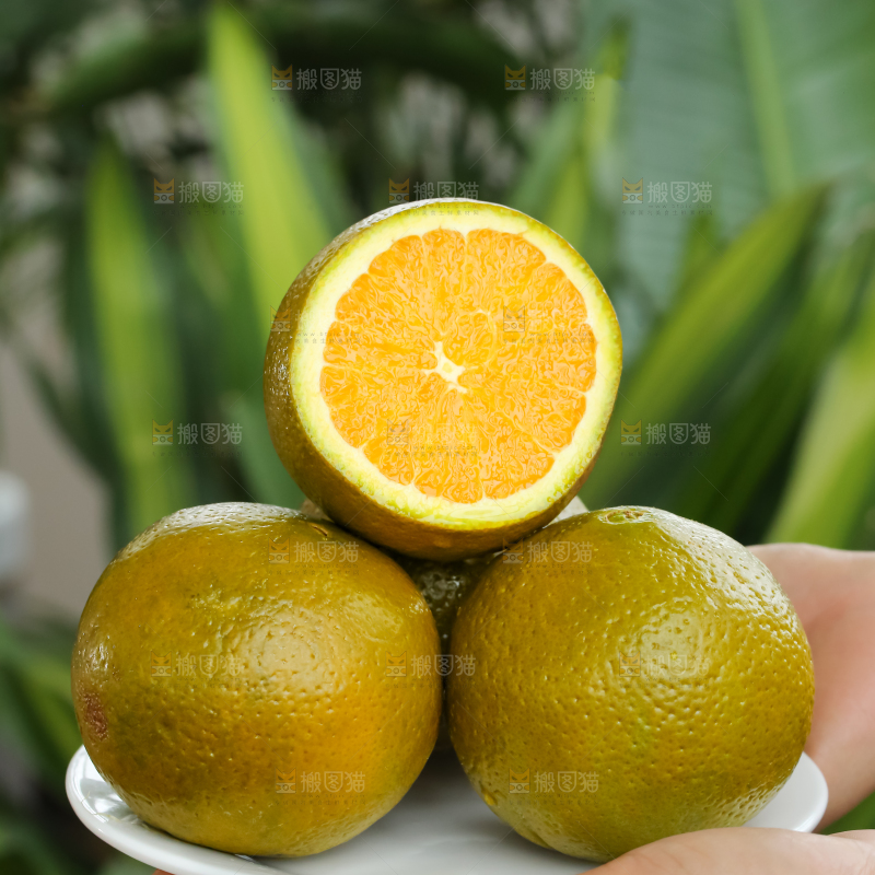 巧克力橙