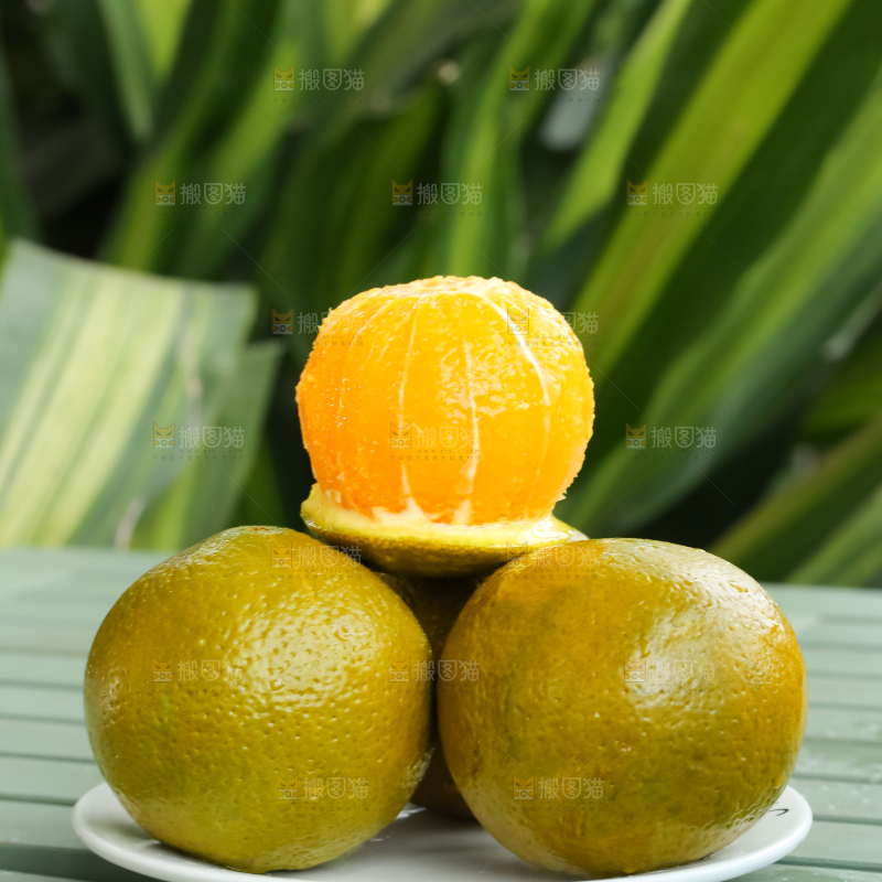 巧克力橙