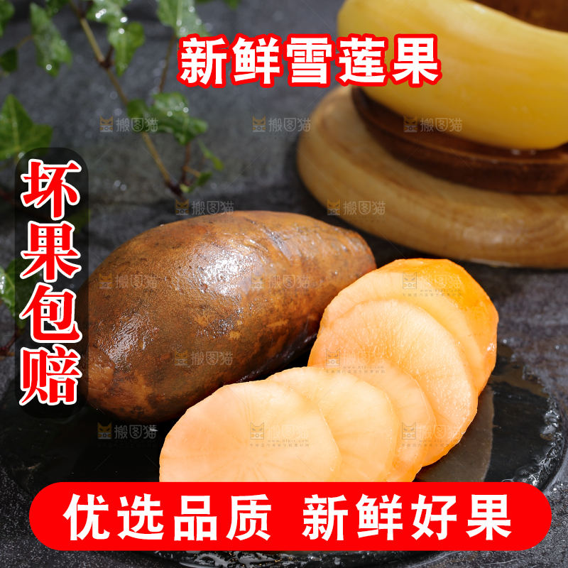 雪莲果