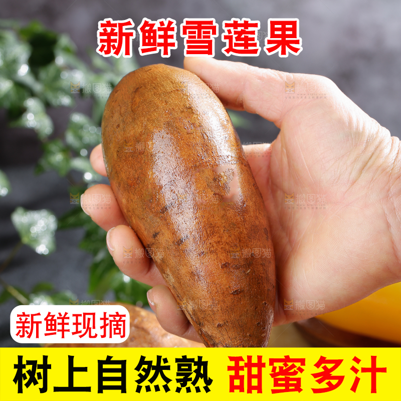 雪莲果