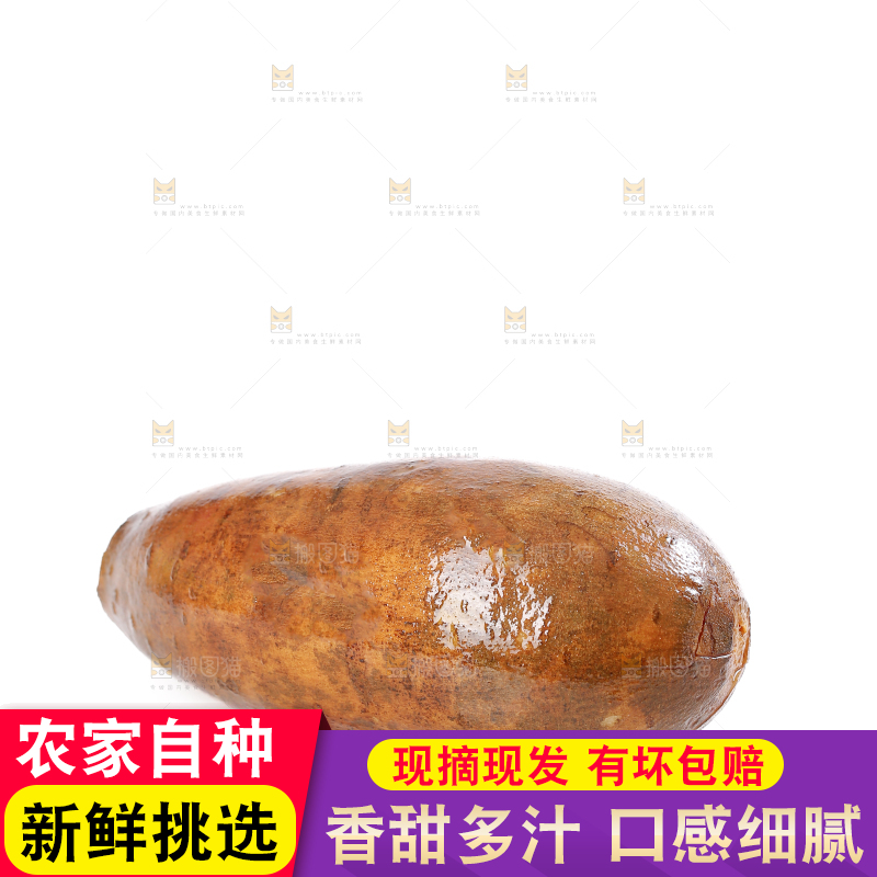 雪莲果
