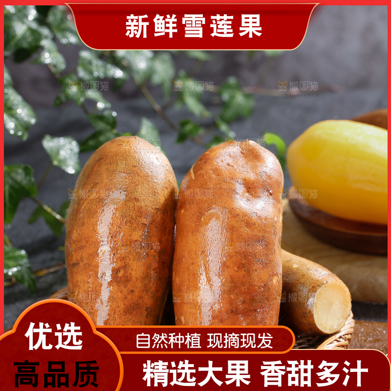 雪莲果