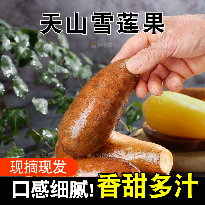 雪莲果