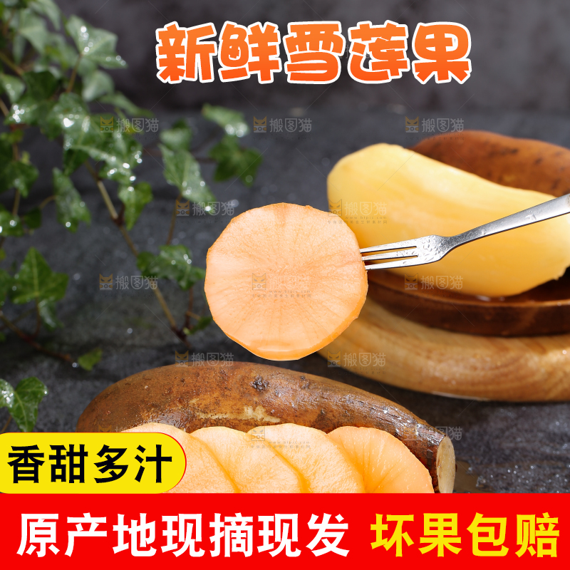 雪莲果
