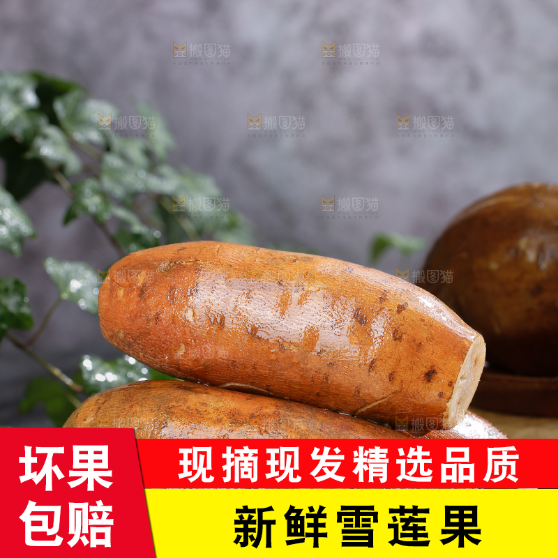雪莲果