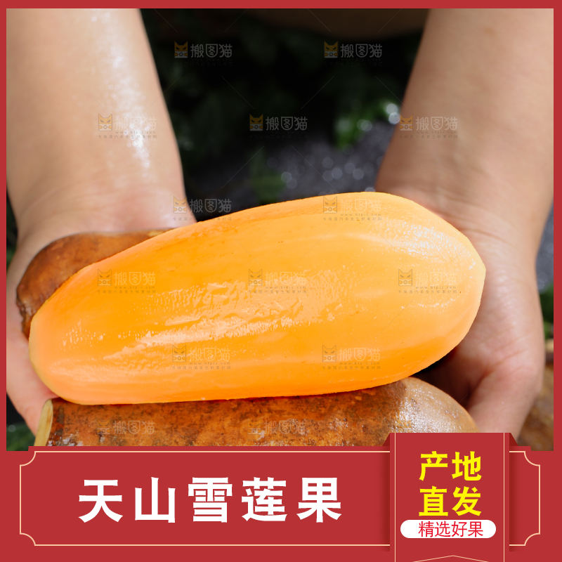 雪莲果