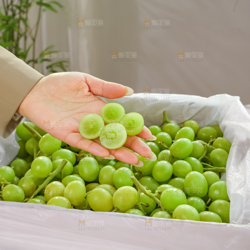甜地球青提
