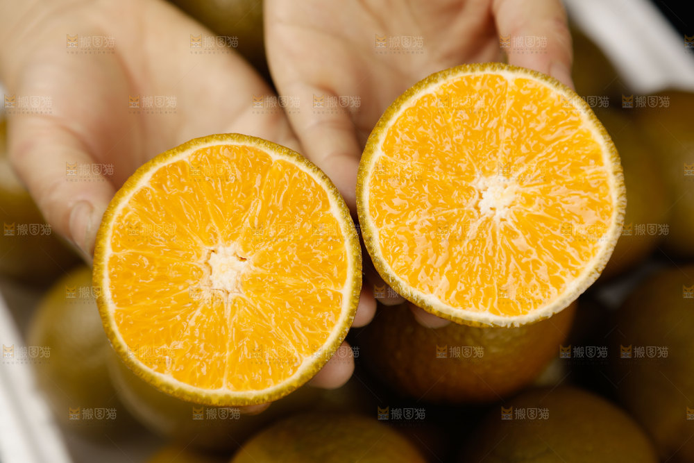 巧克力橙