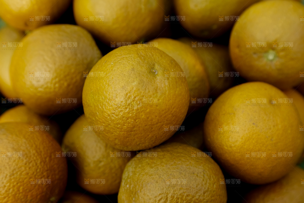 巧克力橙