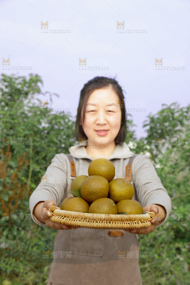 巧克力橙