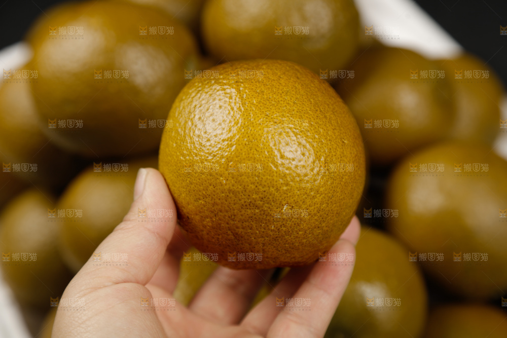 巧克力橙