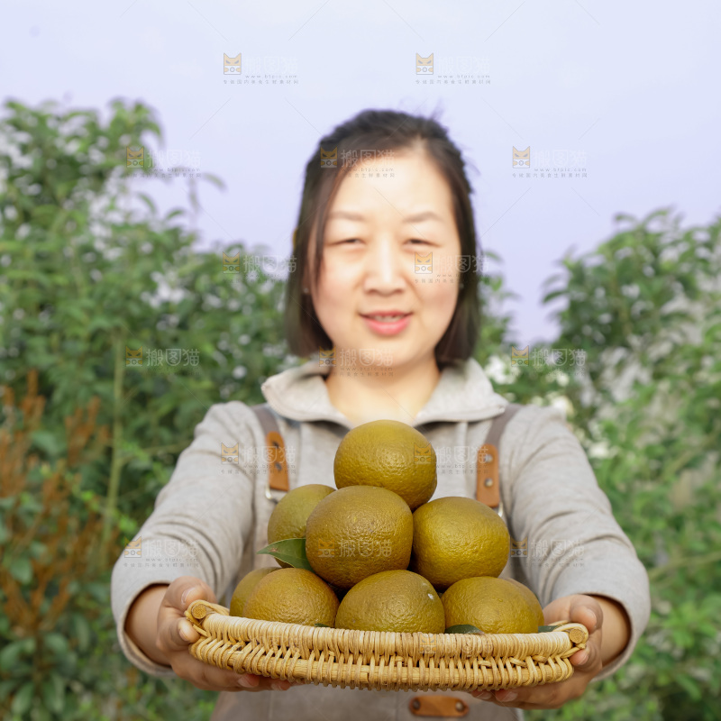 巧克力橙