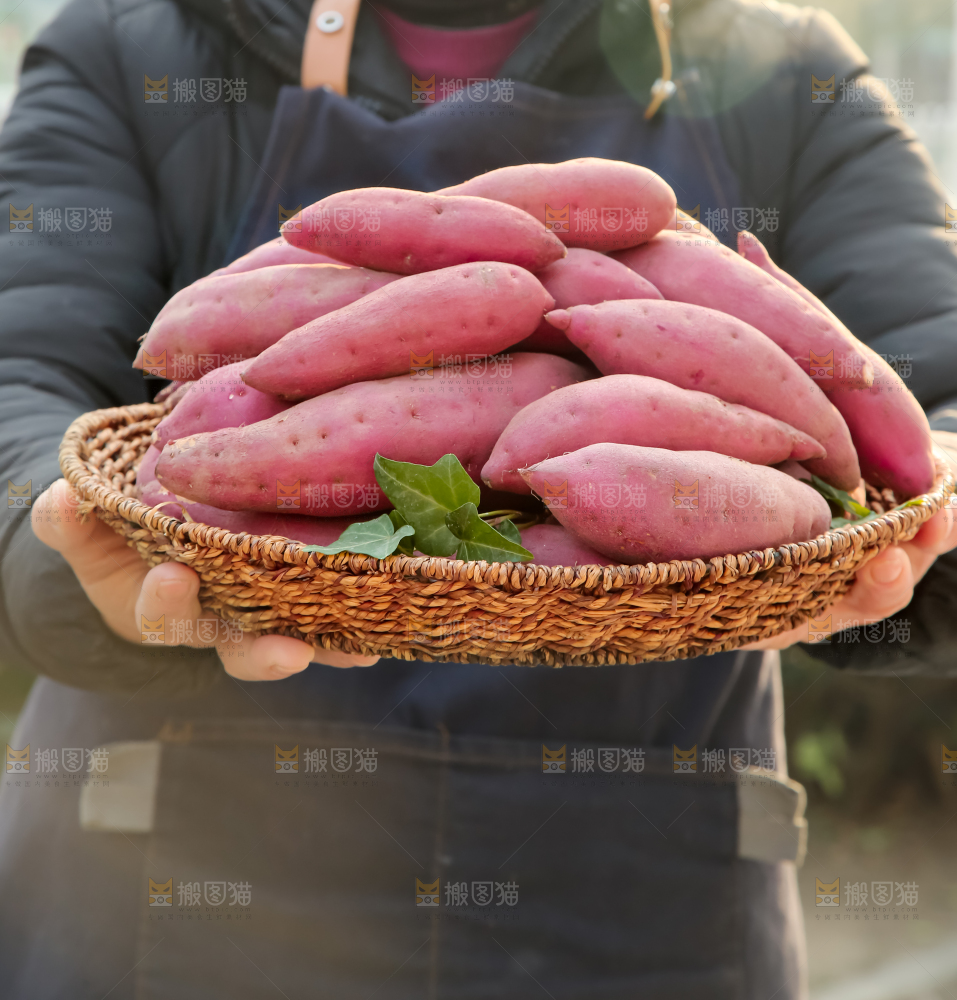 小香薯