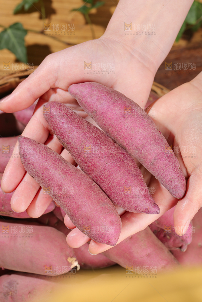 小香薯