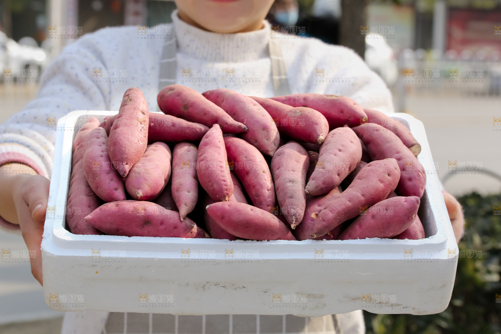 小香薯