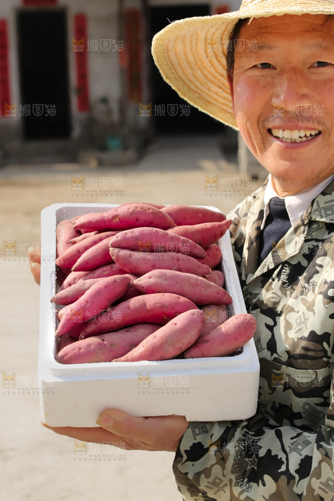 小香薯