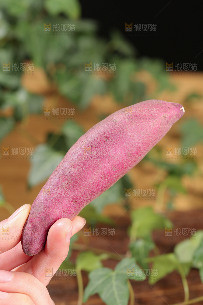 小香薯
